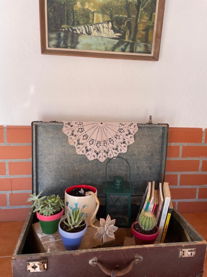 Del Rey Guest House Томар Екстериор снимка